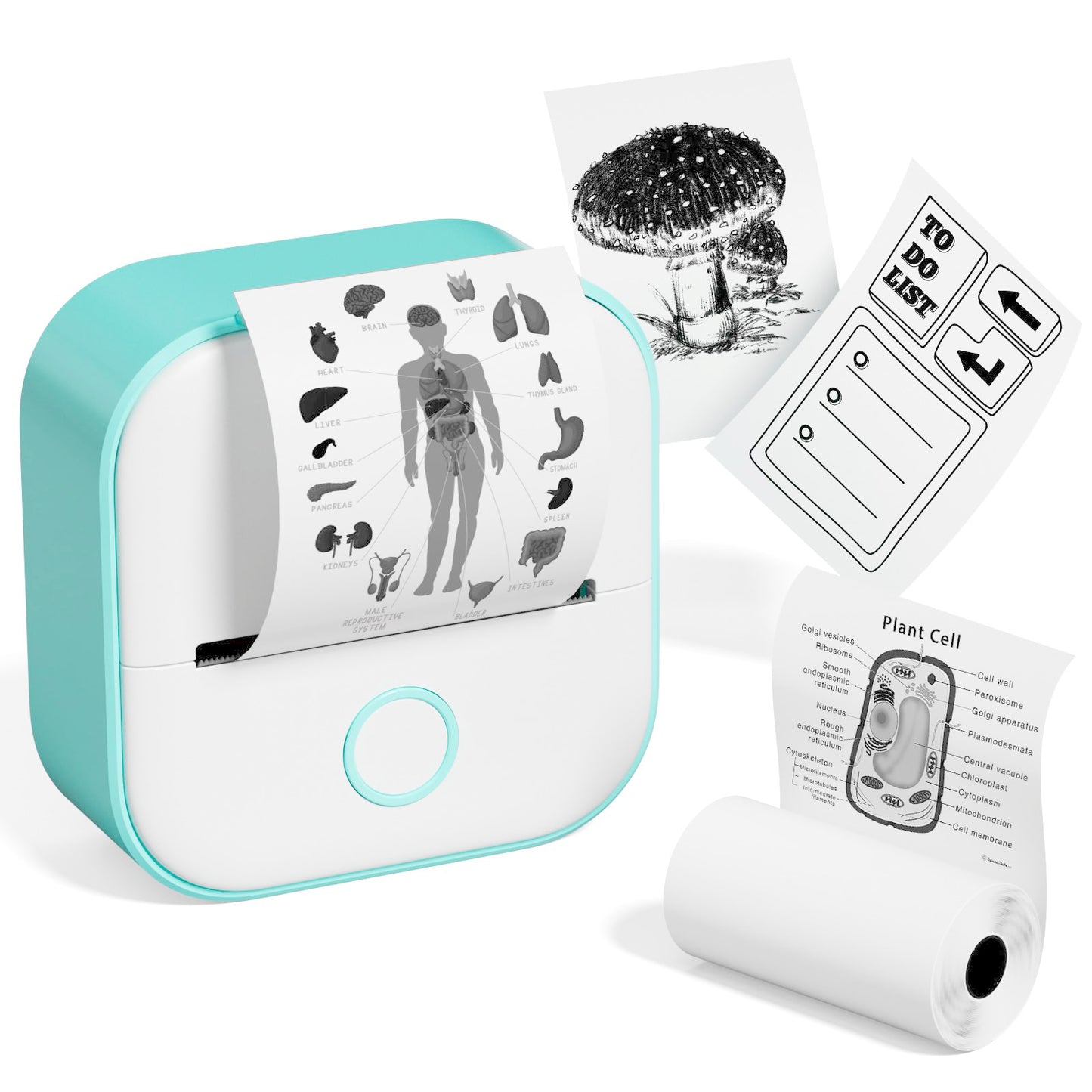 Kompakt, kreativ, kabellos – dein Mini-Thermodrucker - sunny.side-Productions