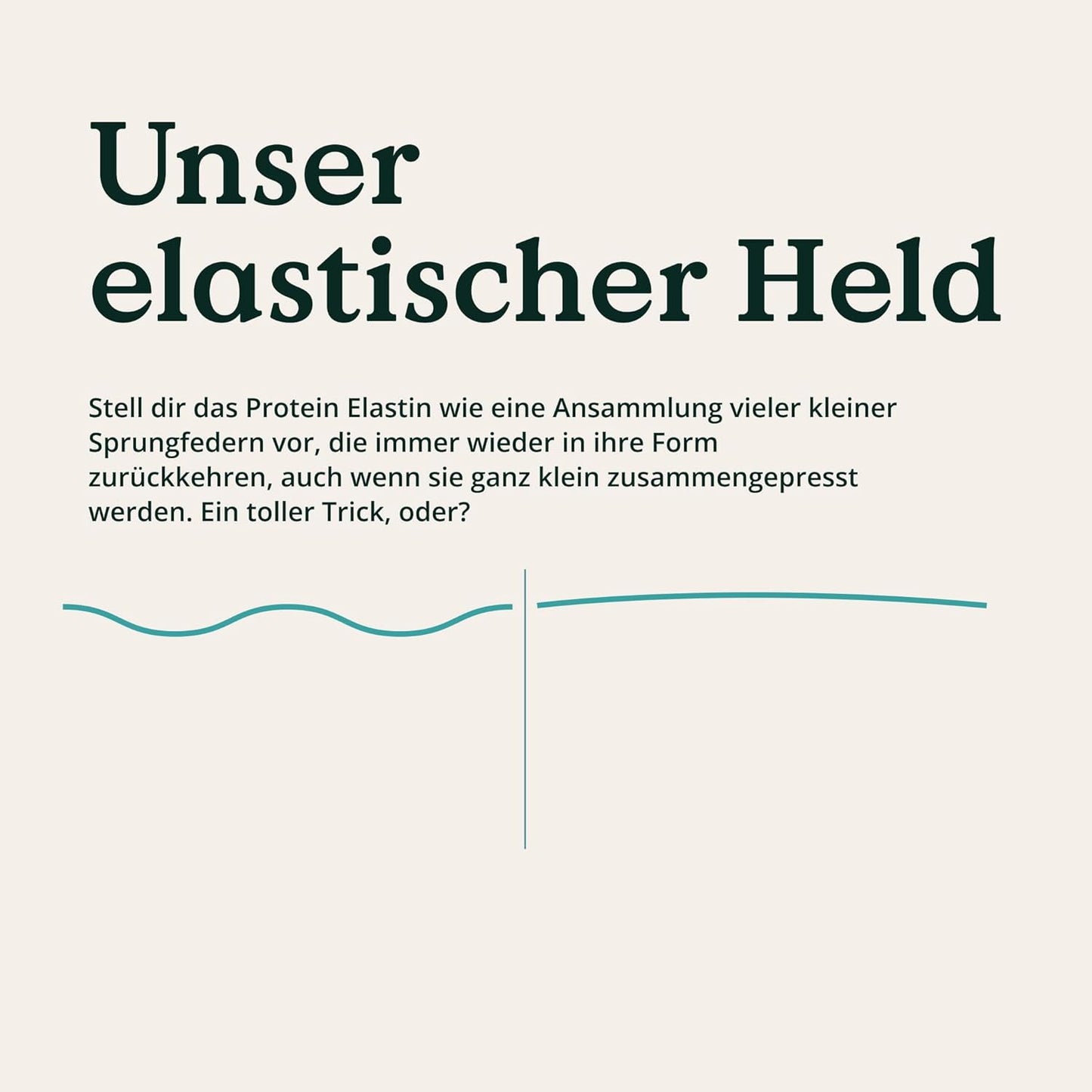 NATURE LOVE® Premium Collagen Pulver mit Hyaluronsäure und Elastin - 500g Kollagen - Peptide Type 1 und 3 - geschmacksneutral - Kollagen von Rindern aus Weidehaltung - laborgeprüft