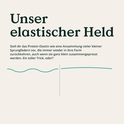 NATURE LOVE® Premium Collagen Pulver mit Hyaluronsäure und Elastin - 500g Kollagen - Peptide Type 1 und 3 - geschmacksneutral - Kollagen von Rindern aus Weidehaltung - laborgeprüft