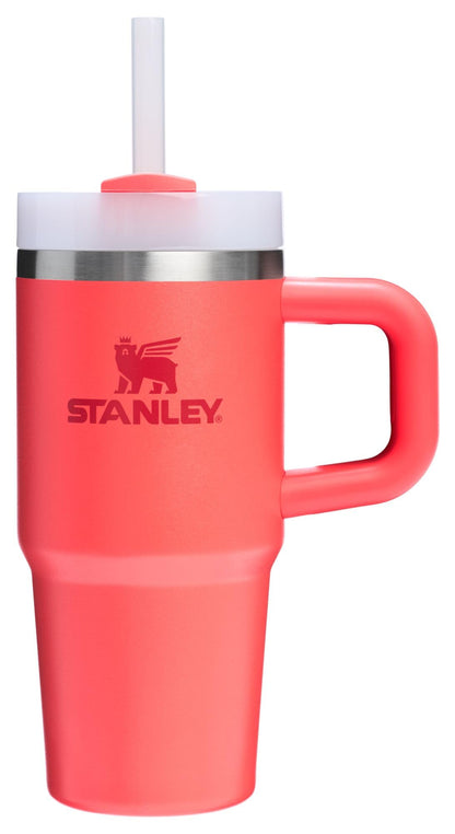 Stanley Tumbler- Der Begleiter für erfrischende Tage - sunny.side-Productions