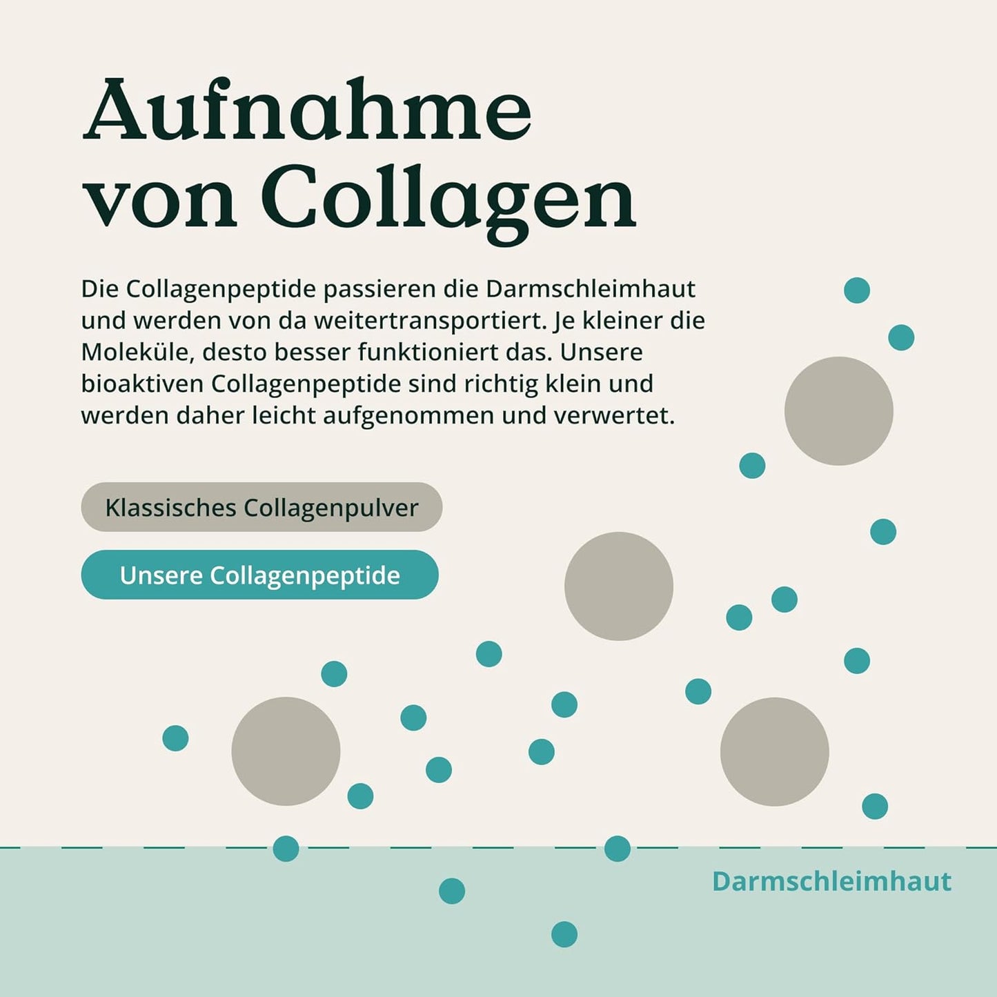 NATURE LOVE® Premium Collagen Pulver mit Hyaluronsäure und Elastin - 500g Kollagen - Peptide Type 1 und 3 - geschmacksneutral - Kollagen von Rindern aus Weidehaltung - laborgeprüft