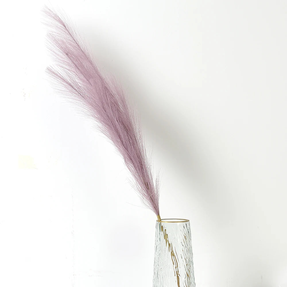 Pampasgras – Sanfte Leichtigkeit