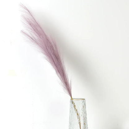 Pampasgras – Sanfte Leichtigkeit