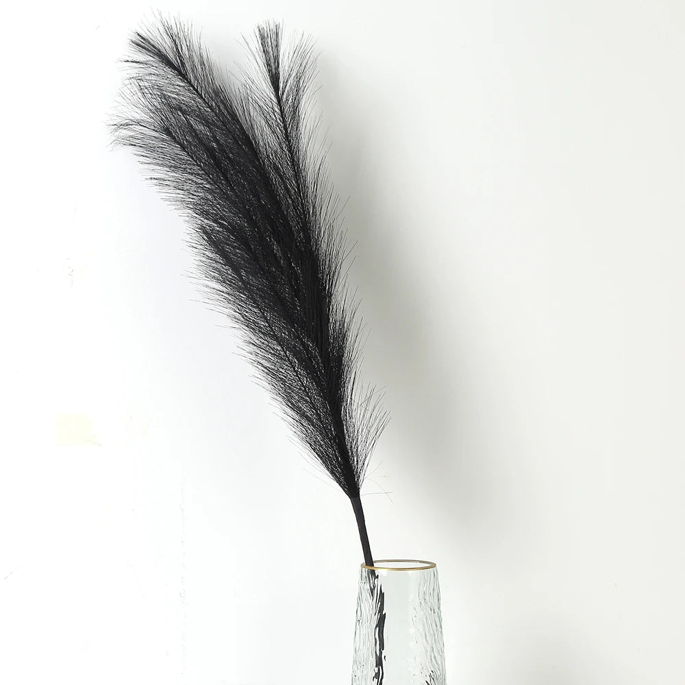 Pampasgras – Sanfte Leichtigkeit