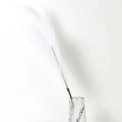 Pampasgras – Sanfte Leichtigkeit