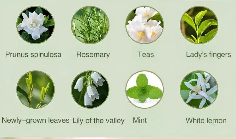 Smarte Duftlösung für dein Zuhause- Aromatherapie - sunny.side-Productions