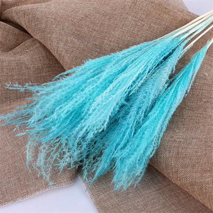 Pampasgras – Herbstliche Deko