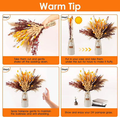 Pampasgras – Herbstliche Deko