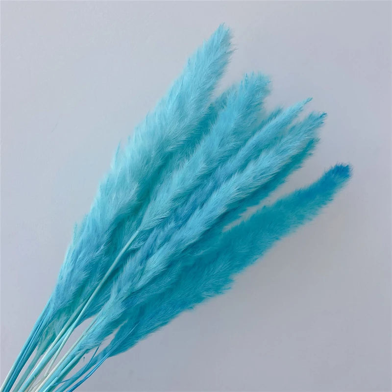 Pampasgras – Herbstliche Deko