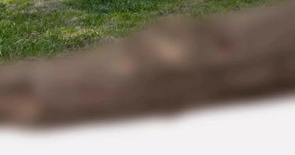 Aufblasbares Festivalzelt – Komfort, Schutz & Freiheit