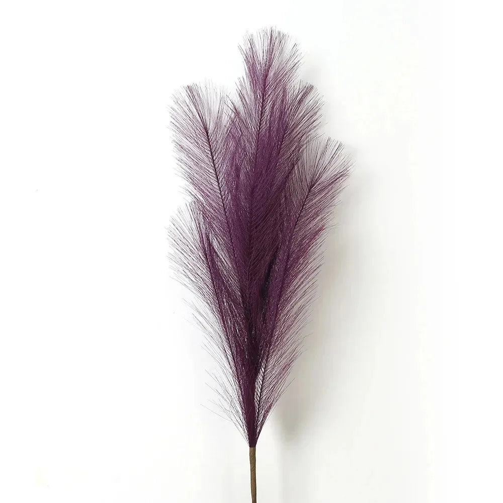 Pampasgras – Sanfte Leichtigkeit