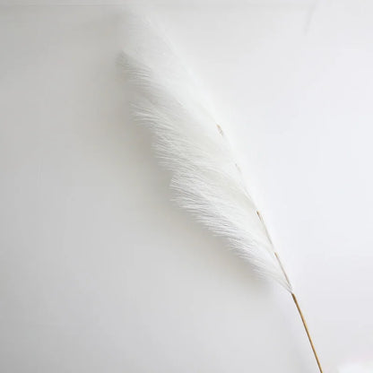 Pampasgras – Luftig, elegant & perfekt arrangiert