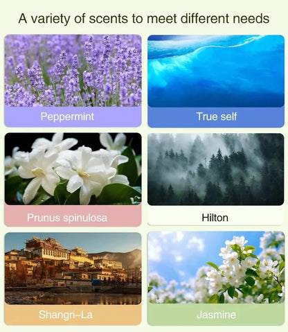 Smarte Duftlösung für dein Zuhause- Aromatherapie - sunny.side-Productions