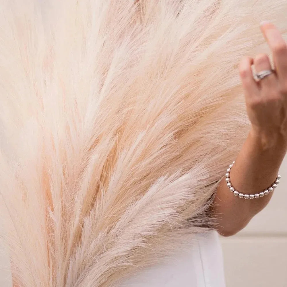 Pampasgras – Sanfte Leichtigkeit